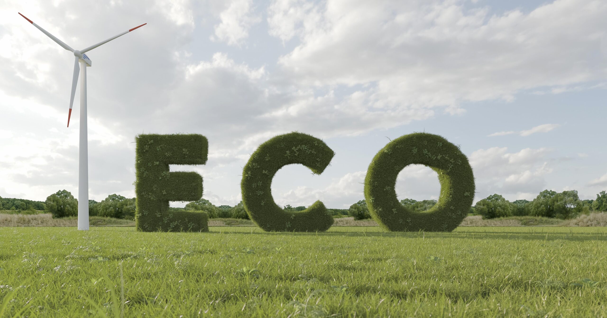 Eco-Friendly Dyes and Chemicals: A Step Toward a Sustainable Future